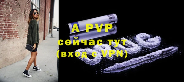 таблы Новодвинск