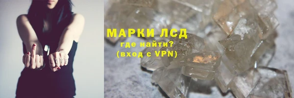 дмт Новокубанск