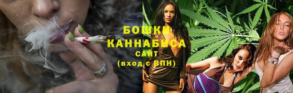 дмт Новокубанск