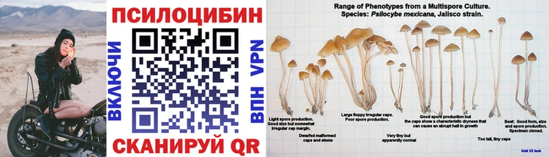 сайты даркнета какой сайт Кумертау Галлюциногенные грибы MAGIC MUSHROOMS